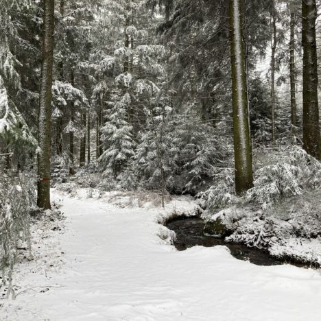 Burgstein