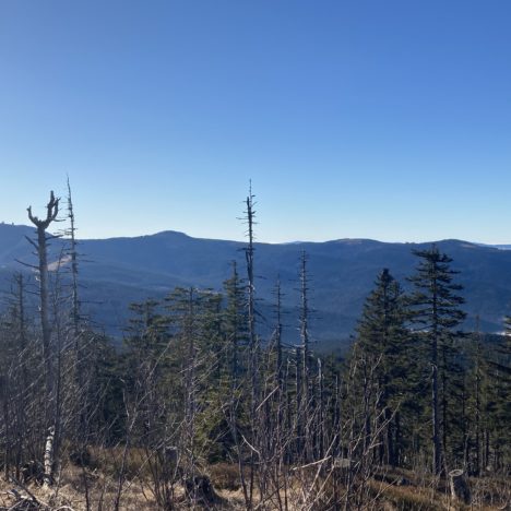 Martinsklause – Teufelsloch – Lusen über Himmelsleiter