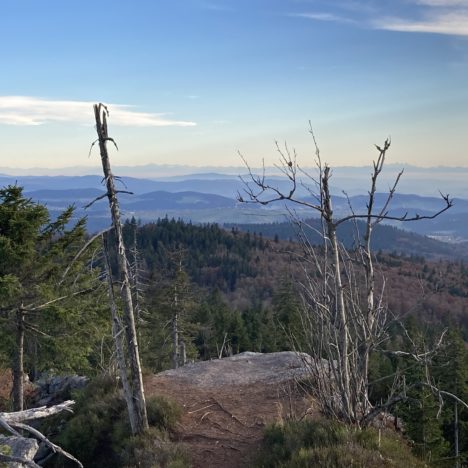 Hochfall – Kleiner Arber – Rißlochfälle