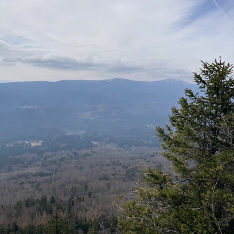 Kronberg – Harlachberger Spitze – Riederinfelsen