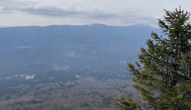 Kleiner Falkenstein