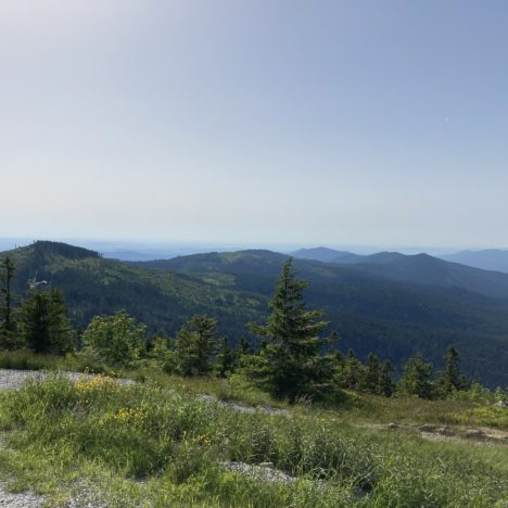 Ruckowitzschachten – Großer Falkenstein – Kleiner Falkenstein