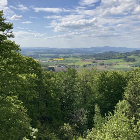 Geschützt: Steinfleckberg